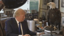 America No Like Trump GIF - Donald Trump Shook Eagle GIFs