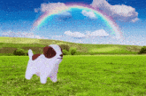 Dog Rainbow GIF - Dog Rainbow Field GIFs