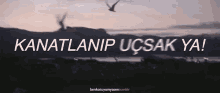 a bird flying over a lake with the words kanatlanip ucsak ya written below it