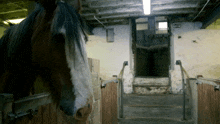 Heavy Horse Douglas GIF - Heavy Horse Horse Douglas GIFs