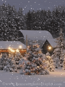 Christmas Tree GIF - Christmas Tree Snowy GIFs