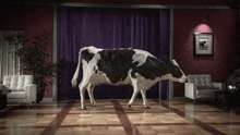 Cow Tap Dancing GIF - Cow Tap Dancing Cadbury GIFs