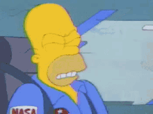 Homer Experiencing G-forces - The Simpsons GIF