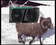 Homing Goat3070 GIF - Homing Goat3070 GIFs