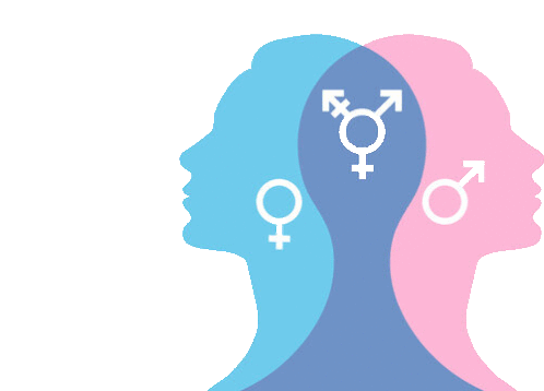 Gender Sticker