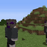 two minecraft characters standing next to each other in a field .