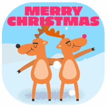 merry christmas dancing reindeer christmas day snow