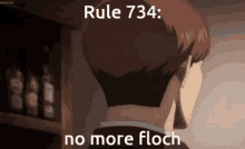 rule 734