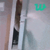 a person is standing in a doorway looking out .