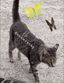 a picture of a cat and butterflies with the word donnerstag written on the bottom