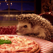 hedghehog pizza