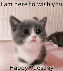 GIF