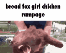 Bread Fox Girl Funny Meusum GIF - Bread Fox Girl Funny Meusum Chicken GIFs