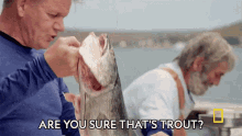 Are You Sure Thats Trout Gordon Ramsay GIF - Are You Sure Thats Trout Gordon Ramsay Uncharted GIFs