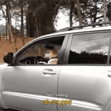 Learn To Drive GIF - Dog Drive Honk GIFs