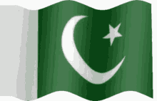 pakistan zindabad flag wave