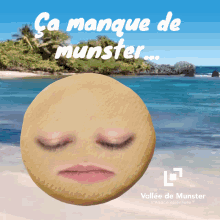 Munster Fromage GIF