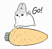 machiko rolling running carrot go