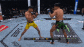 two fighters are fighting in a ring with bud light advertisements