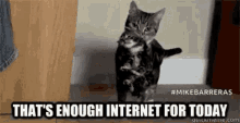 Thats Enough Enough Internet GIF - Thats Enough Enough Internet Stop Surfing GIFs