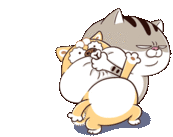 Ami Fat Cat Shut Up Sticker - Ami Fat Cat Shut Up Down Say A Word Stickers