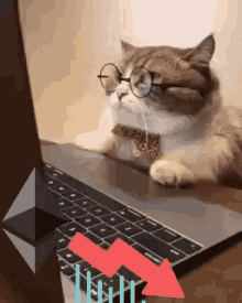 Blockchain Cat GIF - Blockchain Cat Ether GIFs