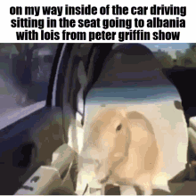 big chungus sound of poggers albania car peter griffin