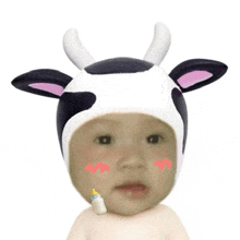 a baby is wearing a cow hat and holding a bottle in his mouth .