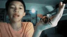Bee Koliverbee GIF - Bee Koliverbee Hi Hello This Is A Bee Attacking Me GIFs