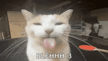Bleh Bleh Cat GIF