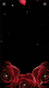 a picture of a woman surrounded by red roses with the word indomable written in red