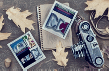a book by dr. kimberly lynn sits next to a camera and some leaves