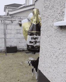Happy New Year Float Away GIF - Happy New Year Float Away Up GIFs
