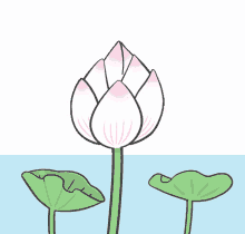flower machiko