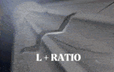Ratio Loser Dr Ratio GIF - Ratio Loser Ratio L GIFs