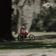 Riding Motorcycle Red Bull GIF - Riding Motorcycle Red Bull Racing GIFs