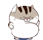 Cat Tummy Sticker - Cat Tummy Angry Stickers