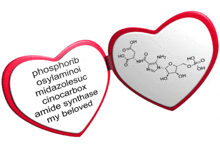 Phosphoribosylaminoimidazolesuccinocarboxamide Synthase Mesmerizer GIF