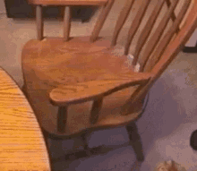 I’ll Just Have A Seat Here GIF - Cat Cats Funny GIFs