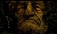 a close up of an old man 's face in a dark room with a tree trunk in the background .