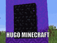 Hugo Minecraft GIF - Hugo Minecraft GIFs