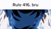 Rule 416 Dragon Ball Rule GIF - Rule 416 Dragon Ball Rule Rule GIFs