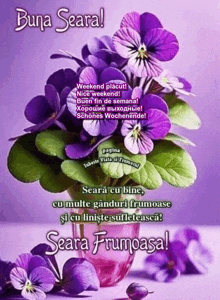 a bunch of purple flowers in a vase with the words buna seara on the top