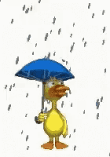 good morning humid raining duck need umbrella