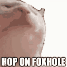 foxhole on hop hop on foxhole