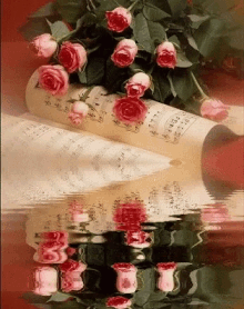 Red Roses GIF - Red Roses Water GIFs