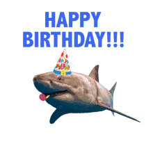 happy birthday shark party horn hbd