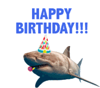 Happy Birthday Shark Sticker - Happy Birthday Shark Party Horn Stickers