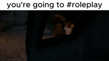 a blurred image with the words you 're going to #roleplay written on it