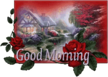 good morning greeting sparkle house rose